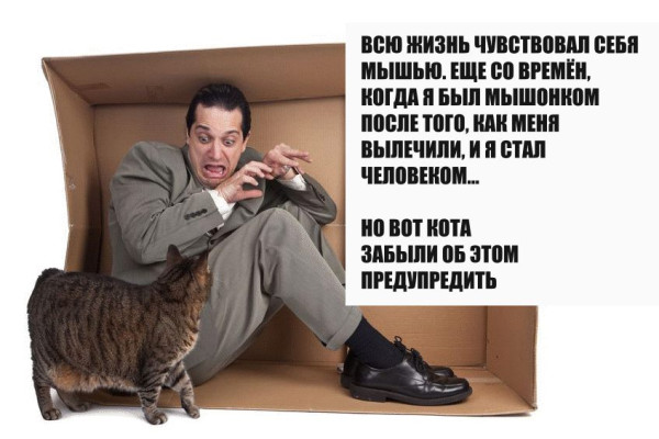 Мем: Кота забыли предупредить, Rokot