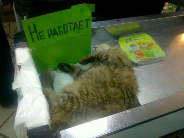 Мем: После сытного обеда..., Леонид Хлыновский