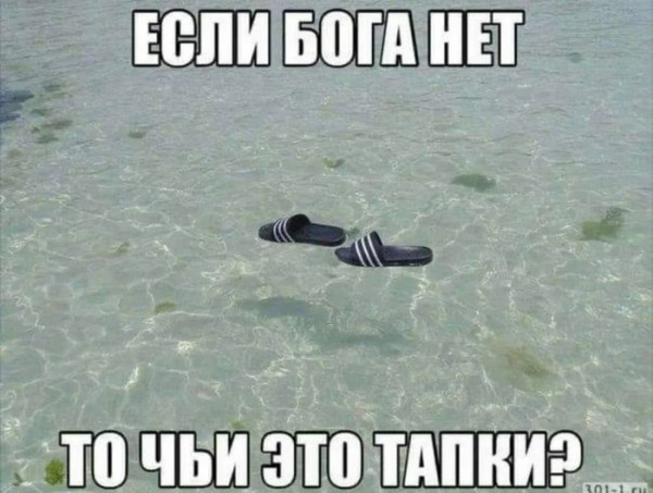 Мем, FDio