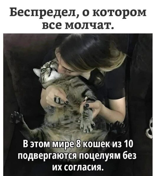 Мем, mikololo