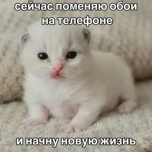 Мем, Леонид Хлыновский