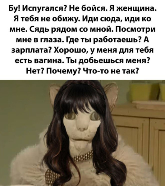 Мем: Прикольный юмор, iteam