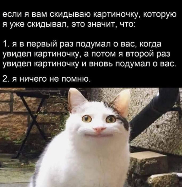 Мем, henh