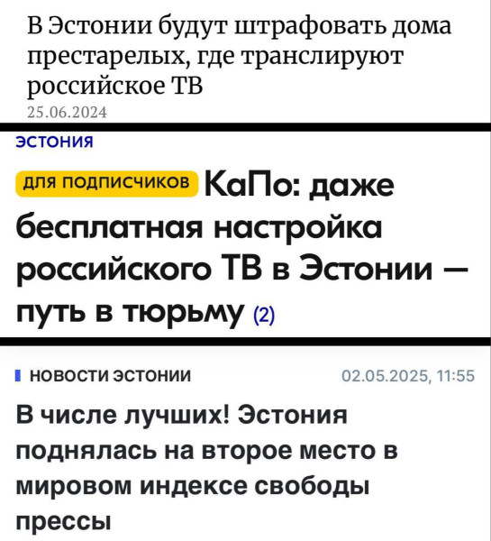 Мем: За вашу и нашу свободу!, Максим Камерер