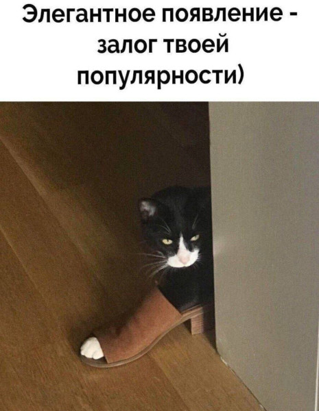 Мем, Леонид Хлыновский