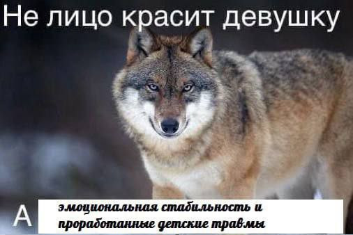 Мем, Леонид Хлыновский