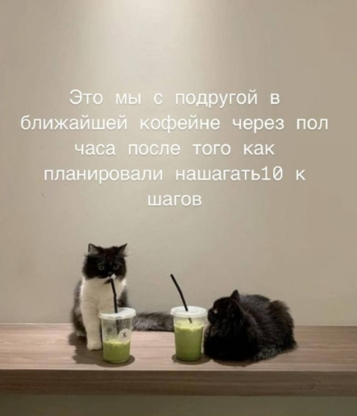 Мем, Микки Маус
