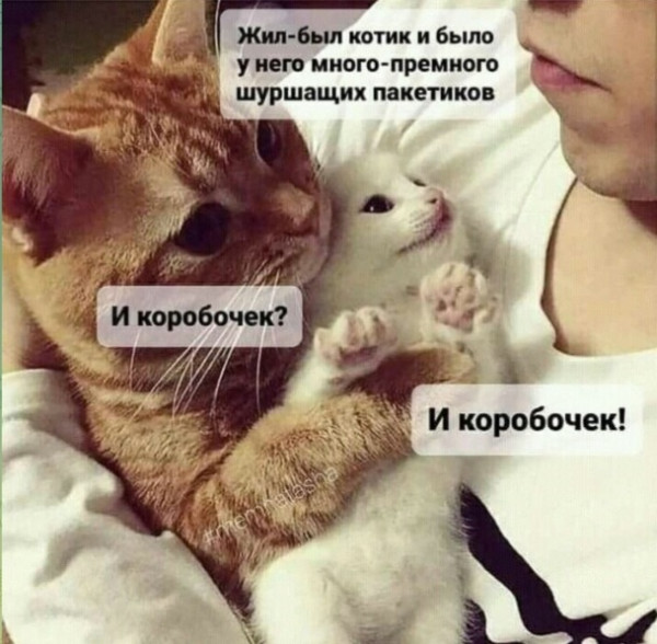 Мем, Микки Маус