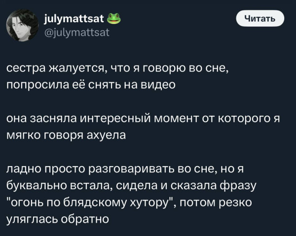 Мем, Максим Камерер