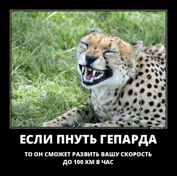 Мем, Бывает