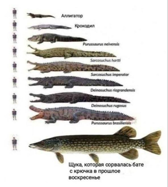 Мем, Леонид Хлыновский