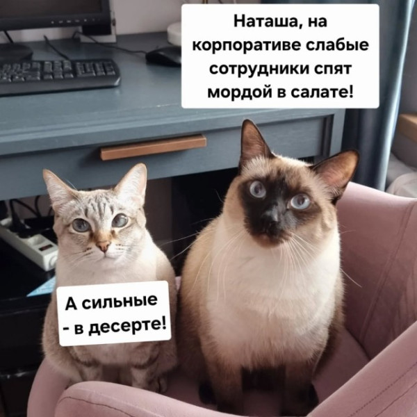 Мем, Леонид Хлыновский