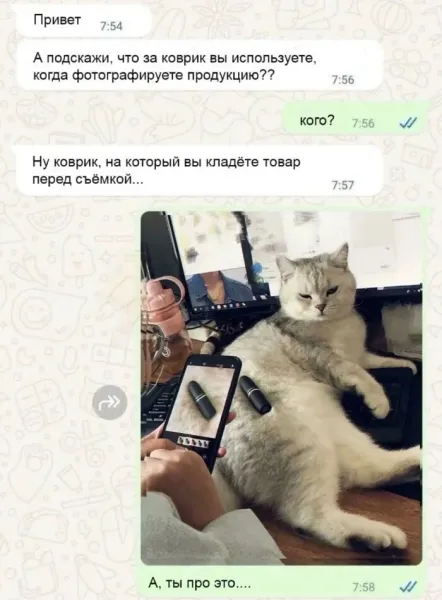 Мем, Микки Маус