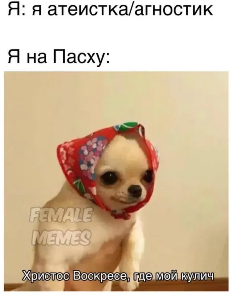 Мем, FDio