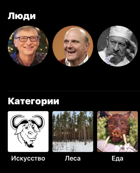 Мем: ИИ распознаёт фотографии), DVD