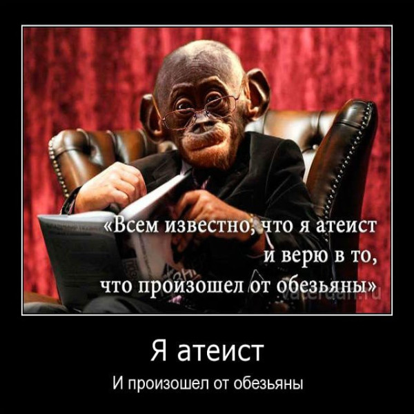 Мем, FDio