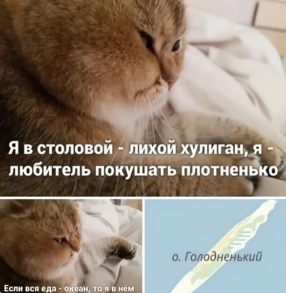 Мем, Леонид Хлыновский