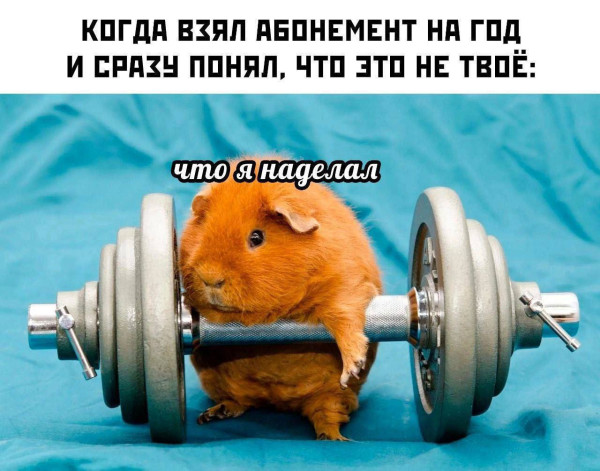Мем, Леонид Хлыновский