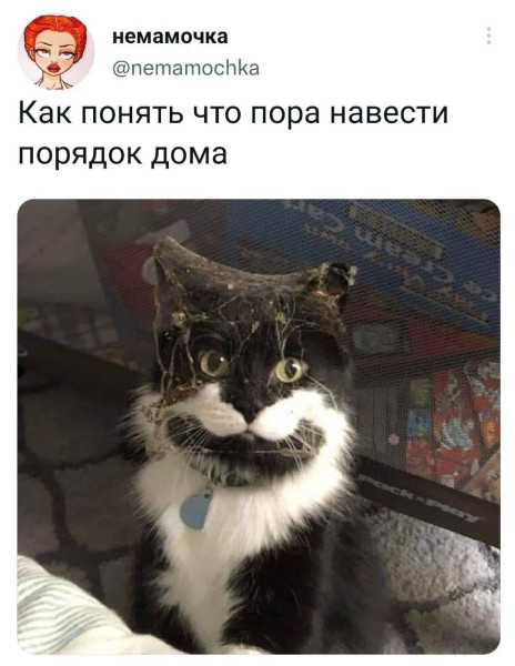 Мем, Леонид Хлыновский