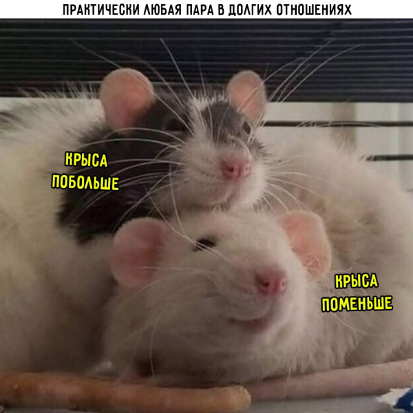 Мем, Леонид Хлыновский