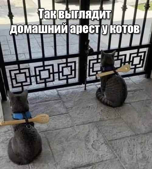 Мем, Смехалка
