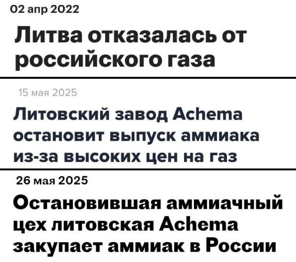 Мем: Многоходовочка!, Максим Камерер