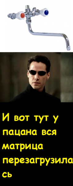 Мем, Лис Интересный