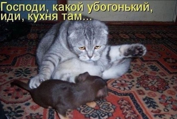 Мем, Смехалка