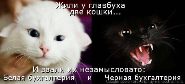 Мем, Бывает