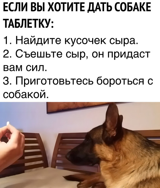 Мем, henh