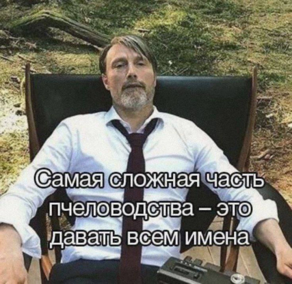 Мем, Максим Камерер