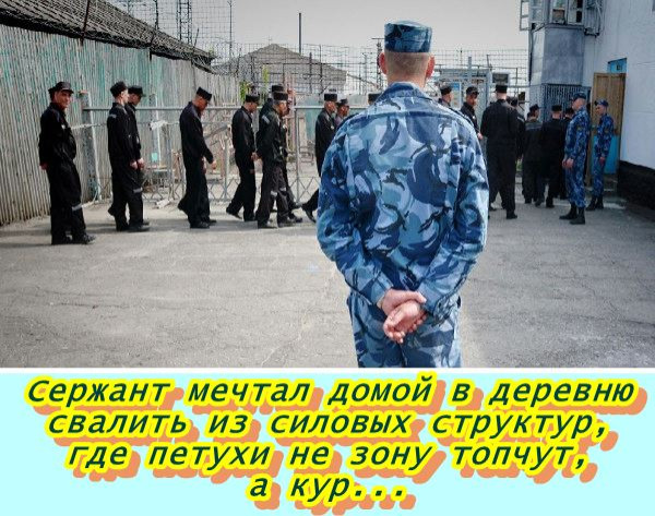 Мем, Вася с усами