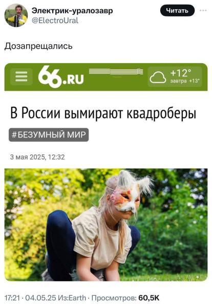 Мем, Bassplayer