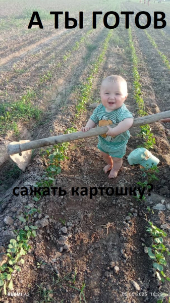 Мем: майские начинаются, GRave Мем: майские начинаются, GRave