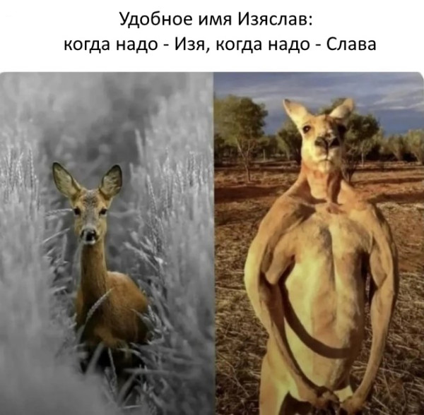 Мем, Бывает