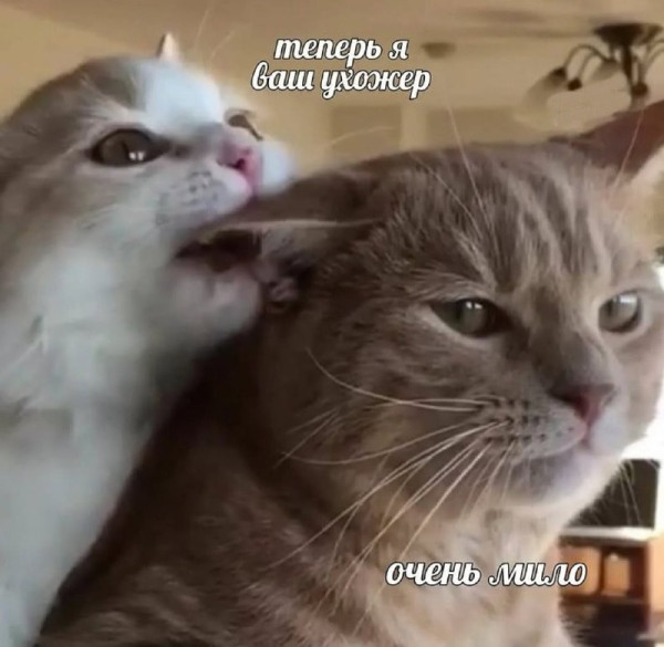 Мем, Леонид Хлыновский