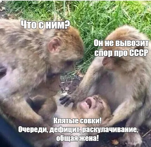 Мем