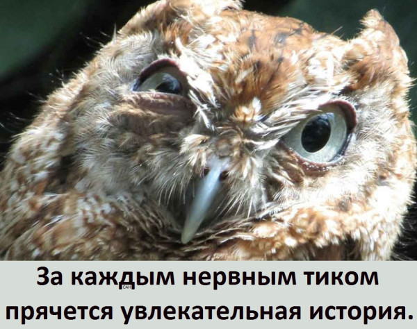 Мем