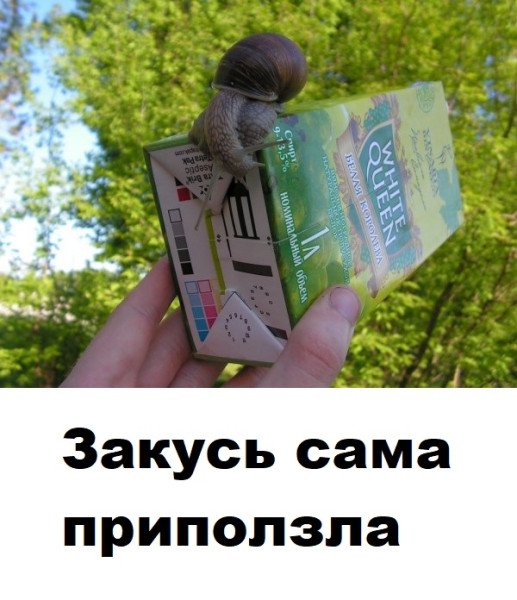 Мем, Лис Интересный