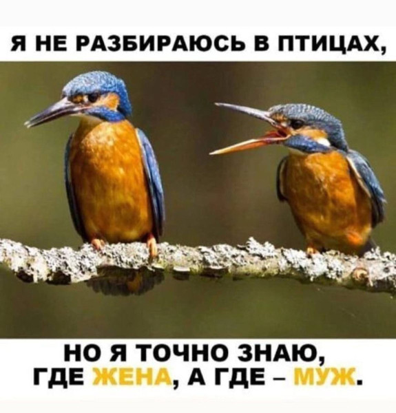 Мем, Hendry