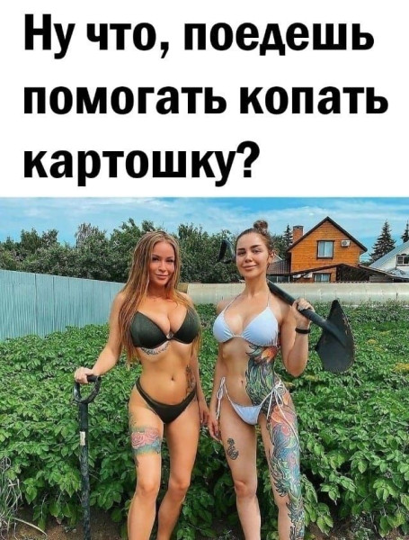 Мем: Как вам помощницы?, iteam