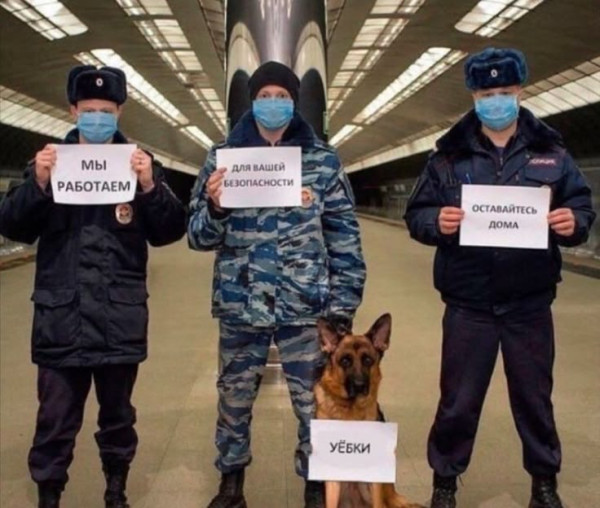 Мем: Юмор, iteam