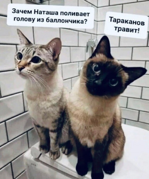 Мем, Смехалка