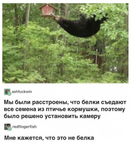 Мем, Смехалка