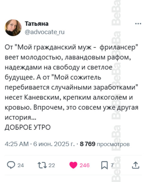 Мем, Максим Камерер