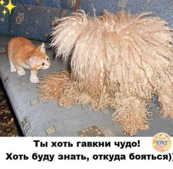 Мем, Смехалка