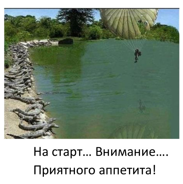 Мем, Бывает