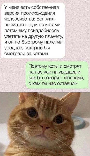 Мем, ArsenZahar