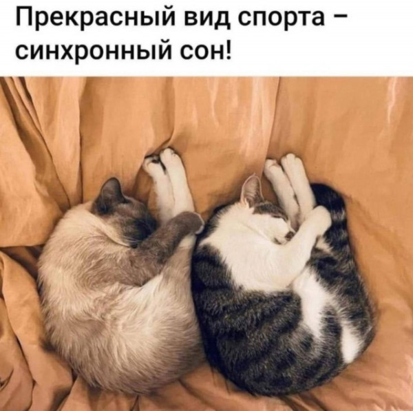 Мем, Смехалка