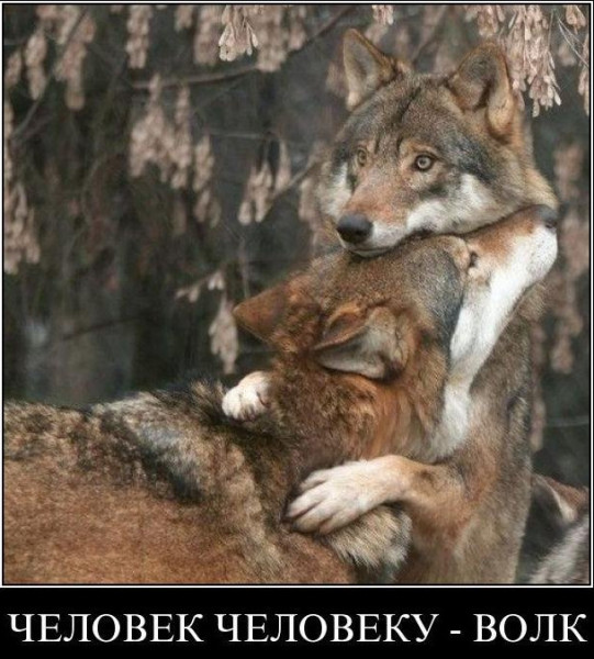 Мем, Бывает Мем, Бывает